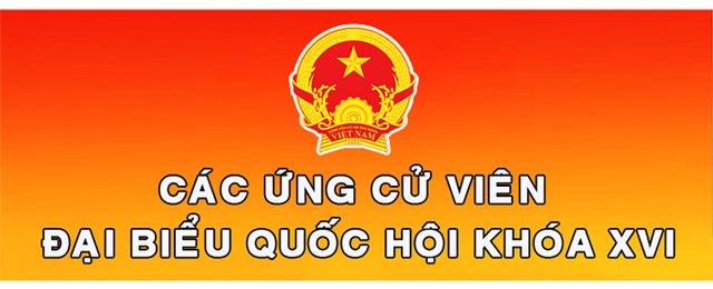Các ứng cử viên Đại biểu Quốc hội khóa XVI