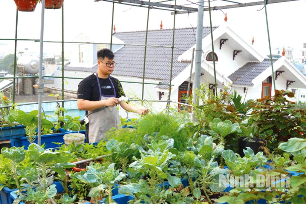 Vườn rau sạch trên sân thượng của gia đình anh Ngô Hải Long, phường Đông A.