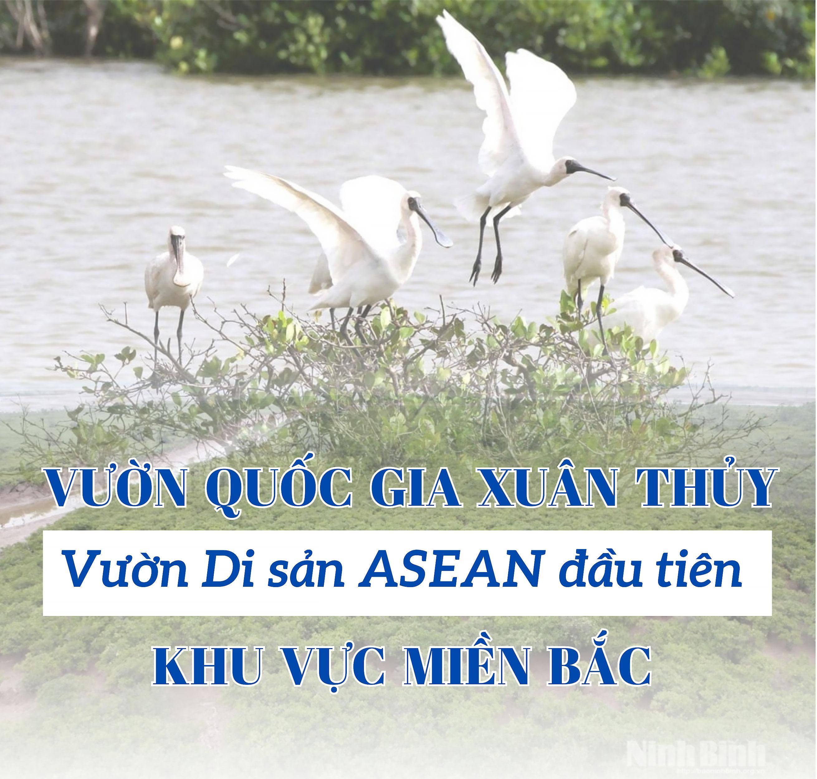 Vườn Quốc gia Xuân Thủy - Vườn Di sản ASEAN đầu tiên khu vực miền Bắc