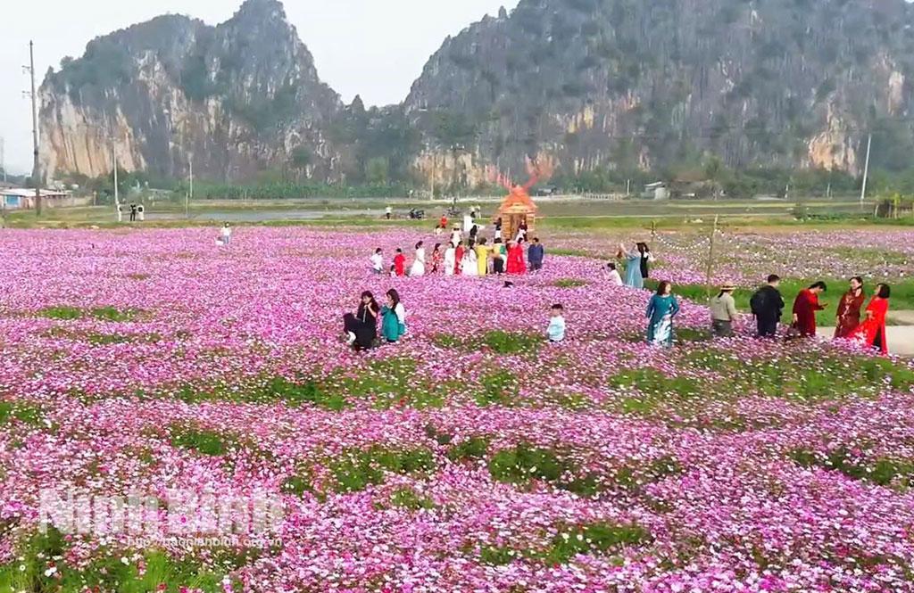 Du khách hào hứng khi được lưu lại khoảnh khắc đẹp trên cánh đồng hoa rực rỡ.