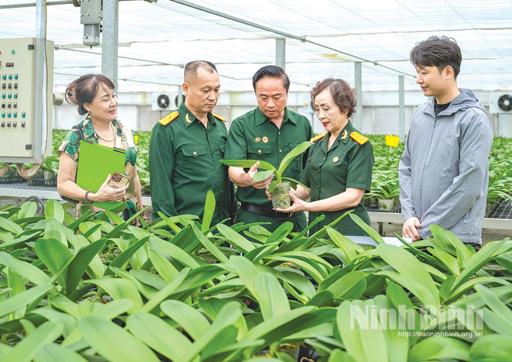 Cựu chiến binh, doanh nhân Trần Thị Loan (thứ hai từ phải sang), Chủ tịch HĐQT kiêm Tổng Giám đốc Công ty Cổ phần Lương thực Hà Nam triển khai dự án nông nghiệp công nghệ cao, tạo việc làm và thu nhập ổn định cho hàng trăm lao động.