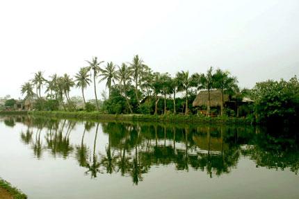 Ảnh minh họa.