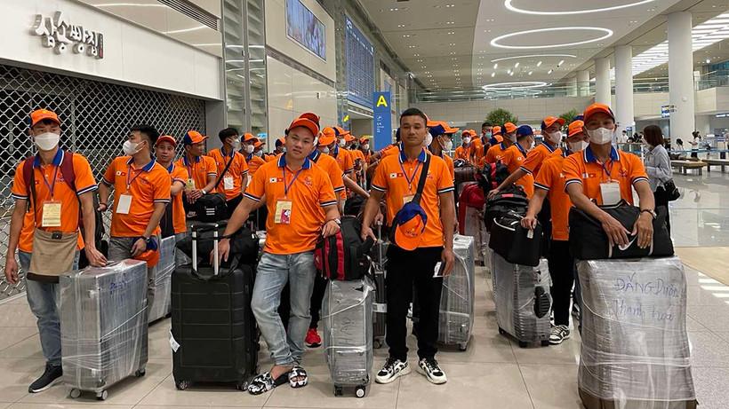 Lao động đi làm việc ở nước ngoài theo hợp đồng. (Ảnh: Dolab)