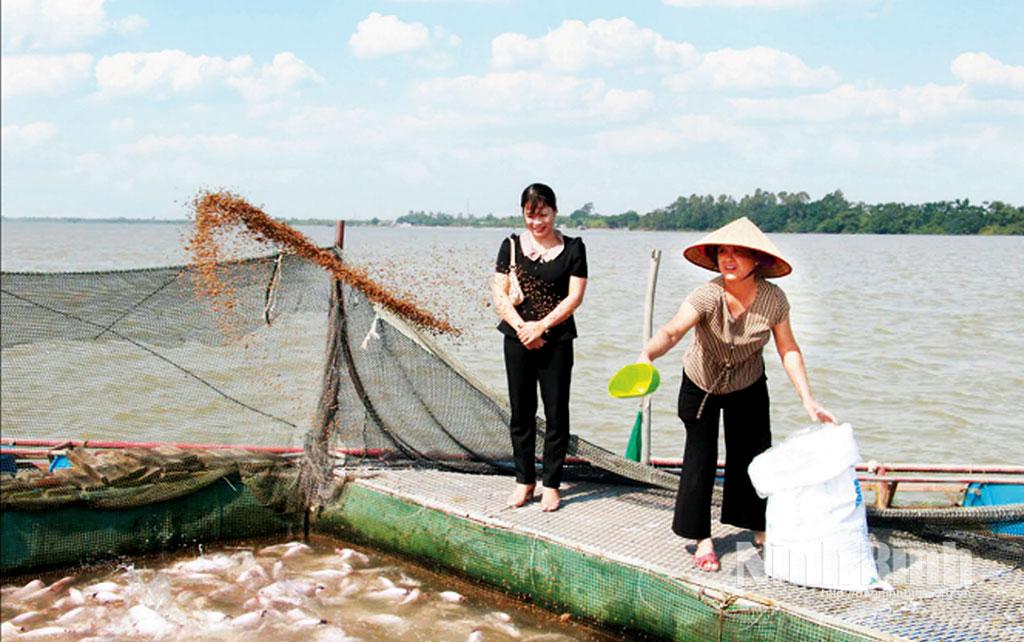 Mô hình nuôi cá lồng của hội viên phụ nữ xã Xuân Hồng, cho thu nhập hàng trăm triệu đồng/năm.
