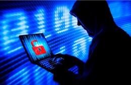 Tội phạm mạng đã trở thành một vấn đề nhức nhối toàn cầu và đang phát triển nhanh hơn bao giờ hết. Ảnh: TTXVN