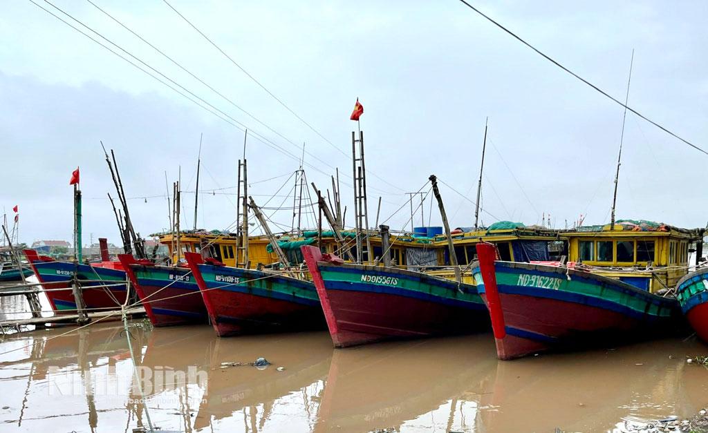Các địa phương ven biển chủ động kiểm tra, nắm chắc số lượng tàu, thuyền hoạt động trên biển.