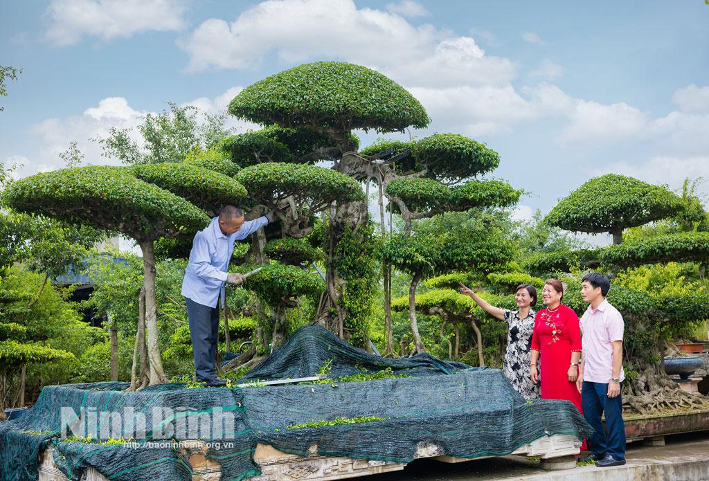 Mỗi cây cảnh ở Vị Khê đều là những tác phẩm nghệ thuật có giá trị.