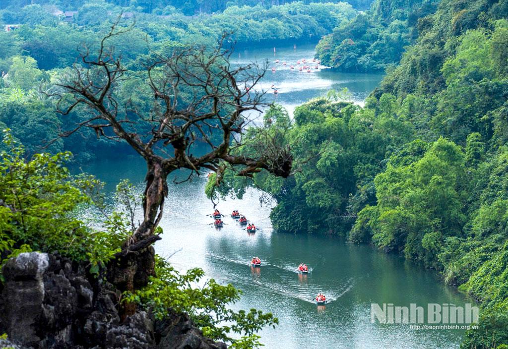 Tràng An - bức tranh sơn thủy hữu tình giữa lòng Cố đô. Ảnh: Ngọc Linh