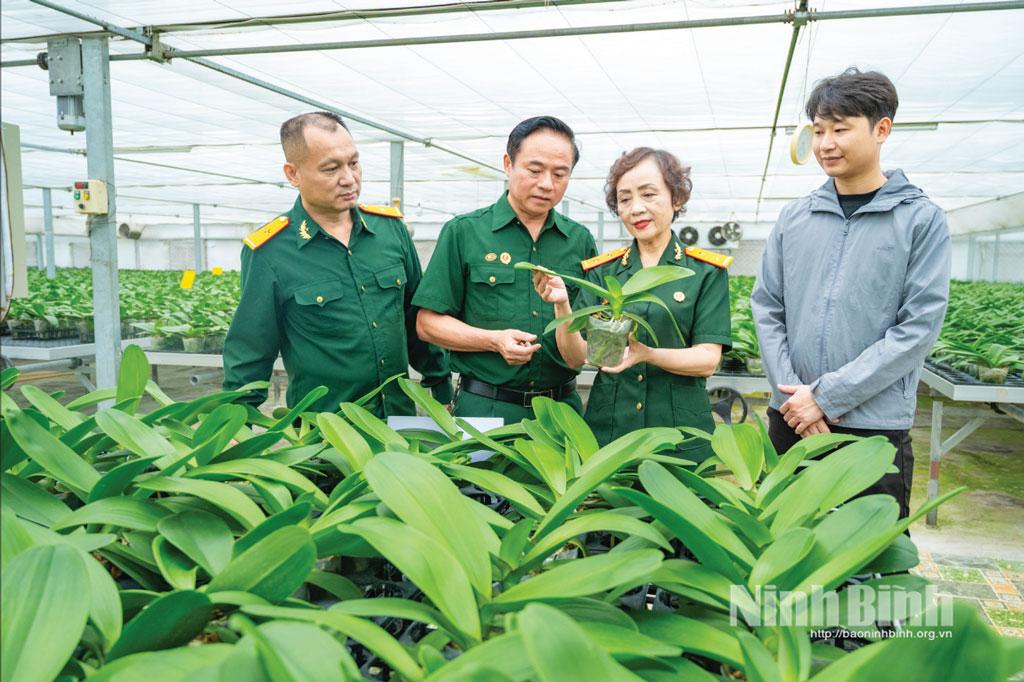 Mô hình trồng hoa lan công nghệ cao của nữ doanh nhân cựu chiến binh Trần Thị Loan, phường Phủ Lý. Ảnh: Ngọc Linh