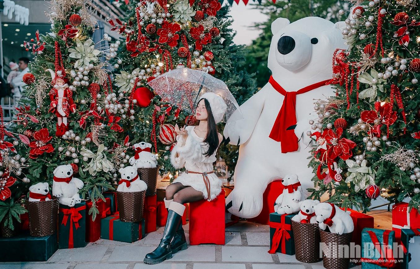 Không khí Noel rộn ràng tại các quán cà phê ở Ninh Bình