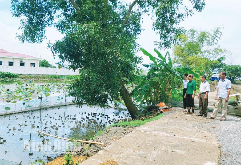 Trang trại tổng hợp của gia đình ông Trần Văn Công, phố Mỹ Sơn, xã Gia Viễn từ hộ gia đình khó khăn đã vươn lên có thu nhập khá.