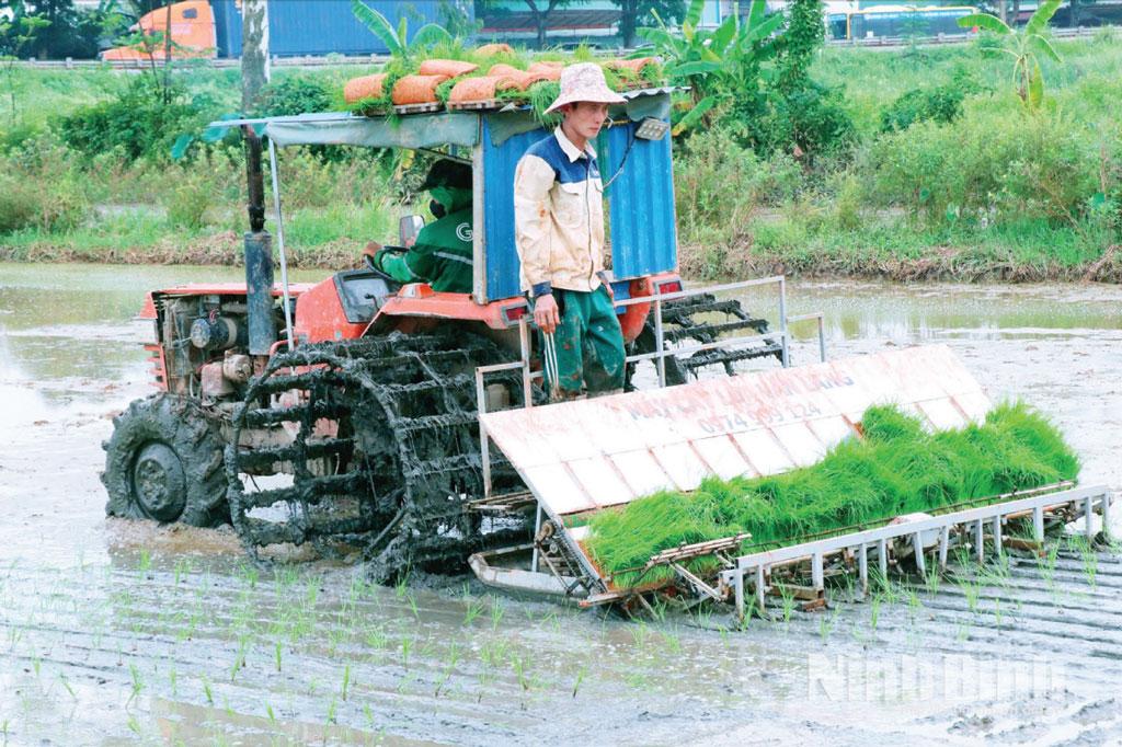 Ứng dụng mạ khay cấy máy trong sản xuất lúa tại Công ty TNHH Toản Xuân, xã Vạn Thắng.
