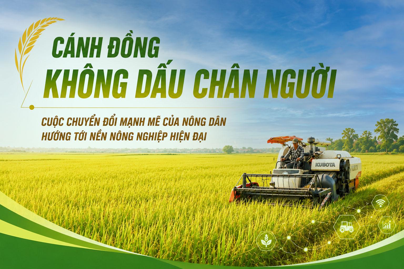 Cánh đồng không dấu chân người - cuộc chuyển đổi mạnh mẽ của nông dân hướng tới nền nông nghiệp hiện đại