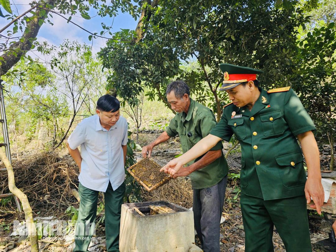 Phong trào CCB xã Thanh Lâm thi đua phát triển kinh tế chào mừng Đại hội đại biểu toàn quốc lần thứ XIV của Đảng được hưởng ứng rộng rãi.