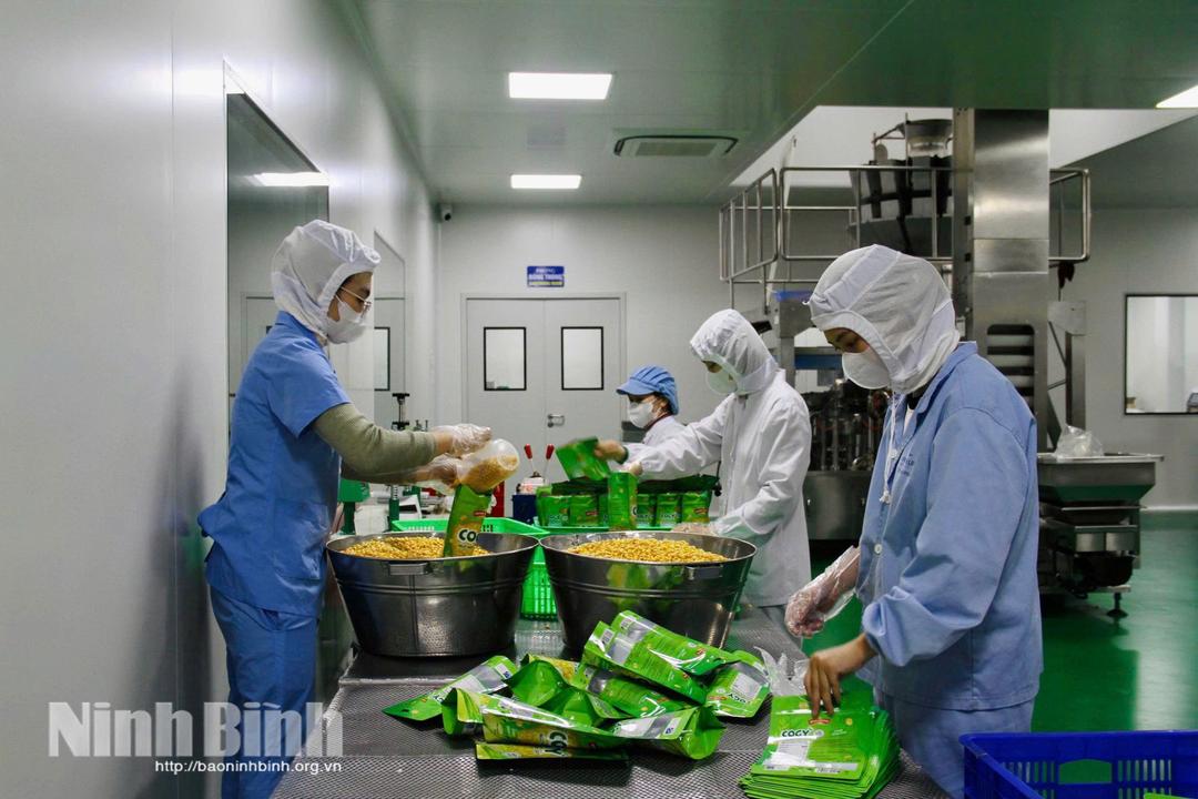 Công ty TNHH MTV Minh Dương ứng dụng công nghệ hiện đại chế biến sâu nông sản.