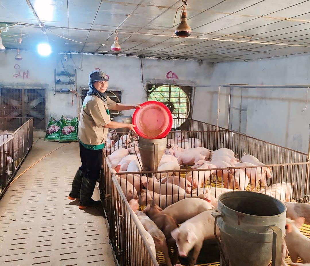 Chị Trần Thị Khuyên (xã Hồng Phong) là điển hình trong phong trào phụ nữ làm kinh tế giỏi ở lĩnh vực nông nghiệp.