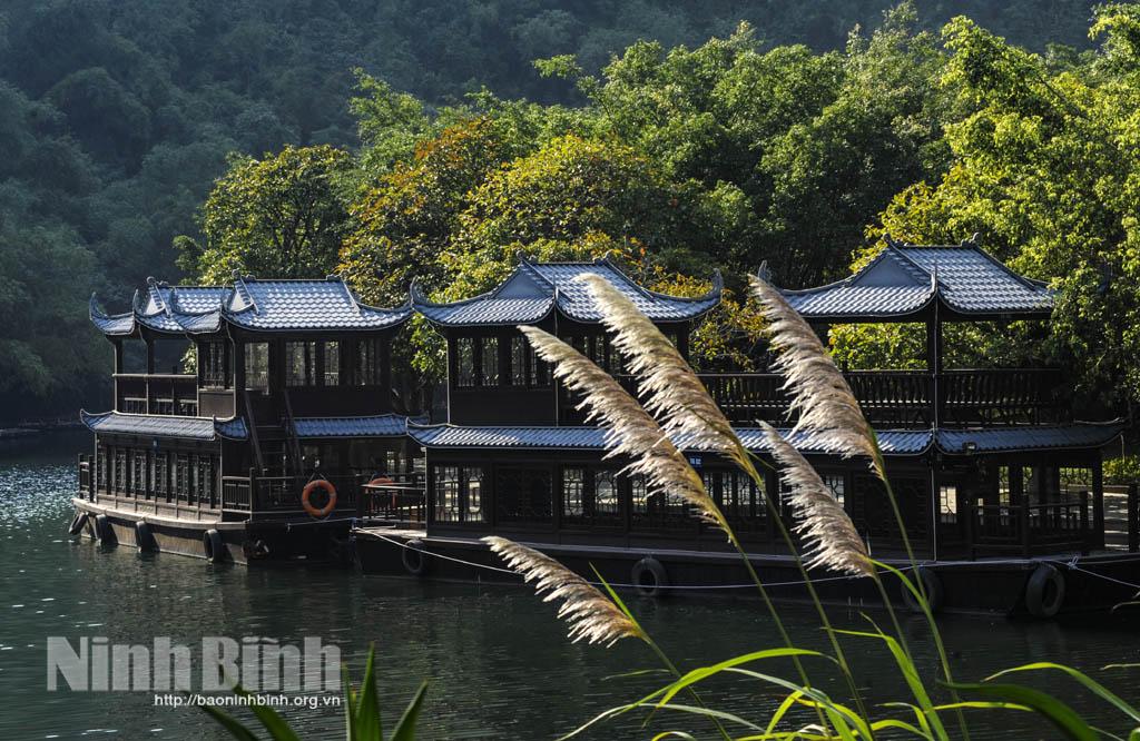 Tràng An - mùa lau trắng