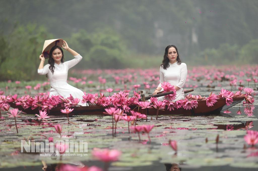 Thung Nắng, mùa hoa súng nở rộ