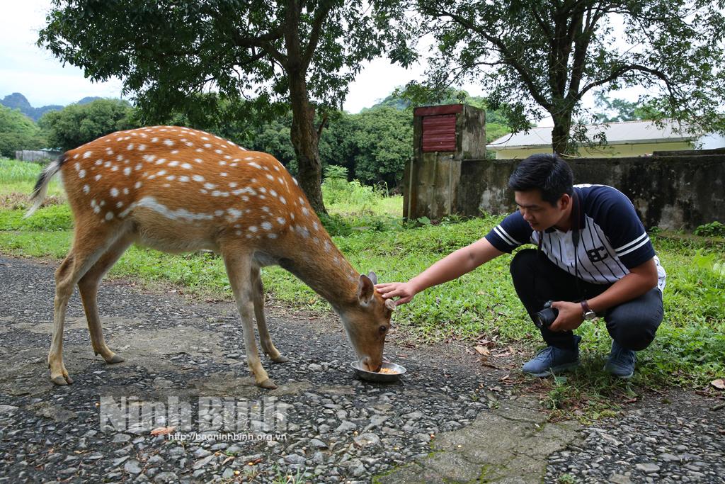 Phục hồi bền vững ngành Du lịch