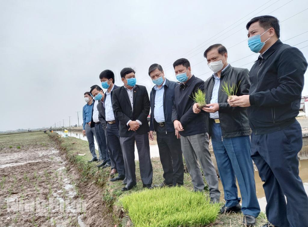 [Video] Đồng chí Phó Bí thư Thường trực Tỉnh ủy kiểm tra, động viên sản xuất đầu năm tại huyện Kim Sơn
