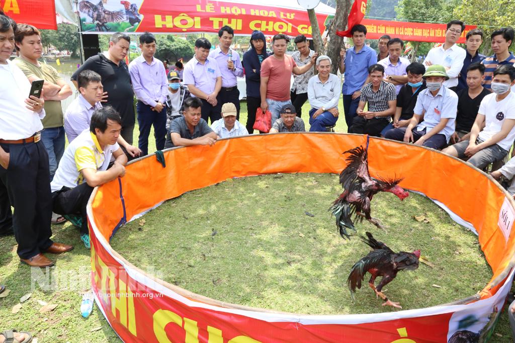 Hấp dẫn các trò chơi dân gian tại Lễ hội Hoa Lư