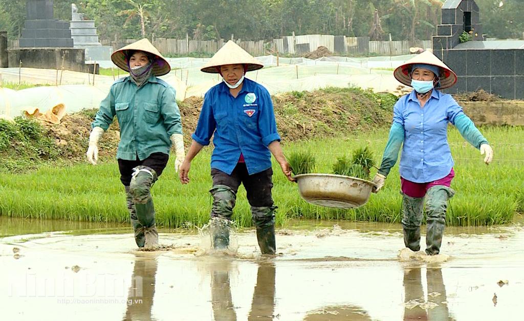 Những việc làm ý nghĩa trong mùa dịch