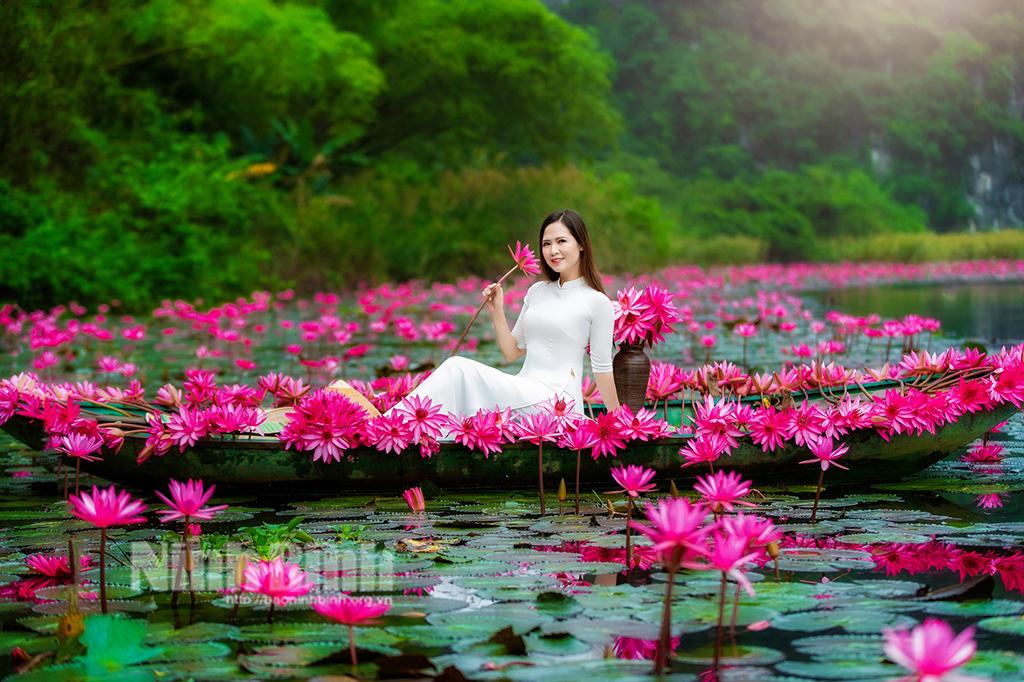 Về Thung Nắng mùa hoa súng tím