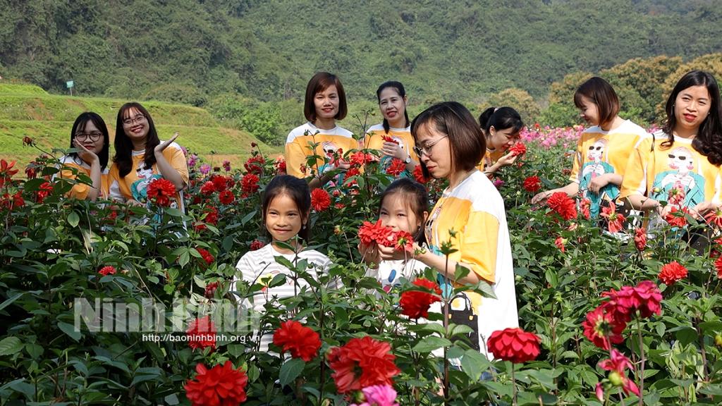 [Video] Mùa hoa ở Thung Nham