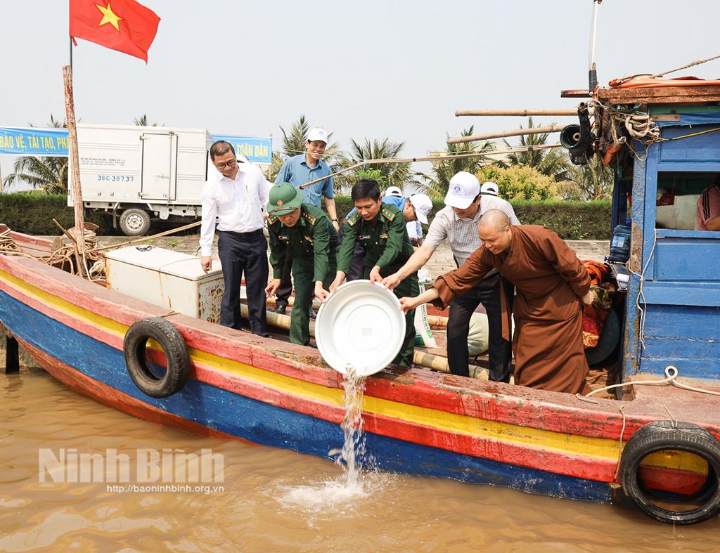 Thả tái tạo 15.400 con cá vược xuống cửa sông Đáy