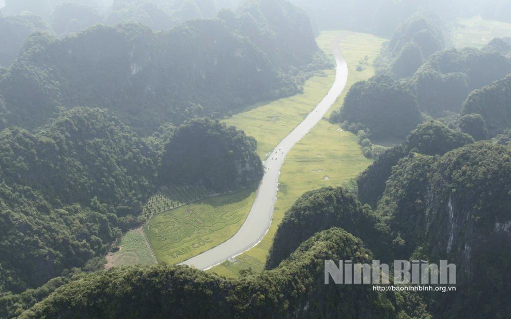 [Video] Mùa vàng Tam Cốc vẫy gọi!