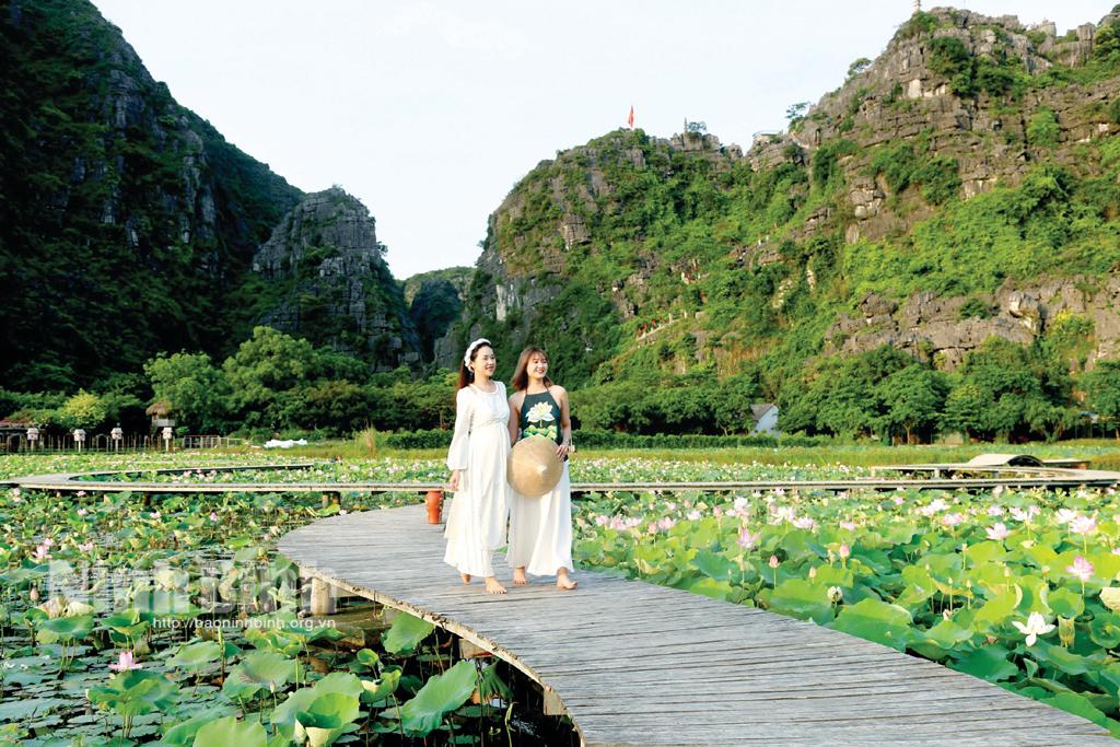 Hương sen đất Cố đô