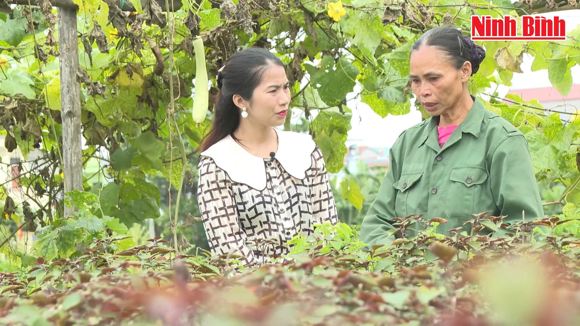 [Video] Hạnh phúc là được sẻ chia