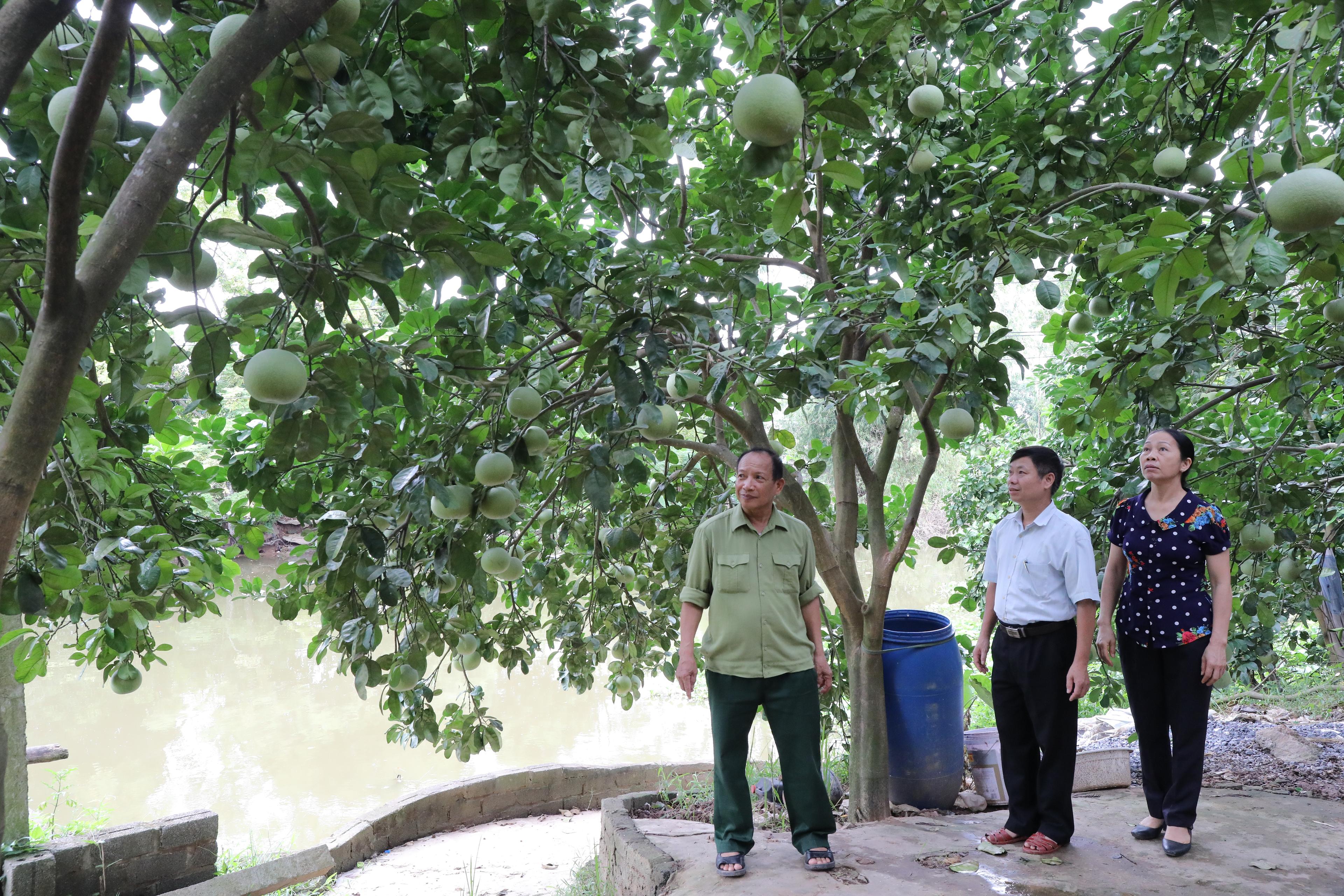 [Video] Yên Mô quan tâm thiết thực tới đời sống nạn nhân chất độc da cam