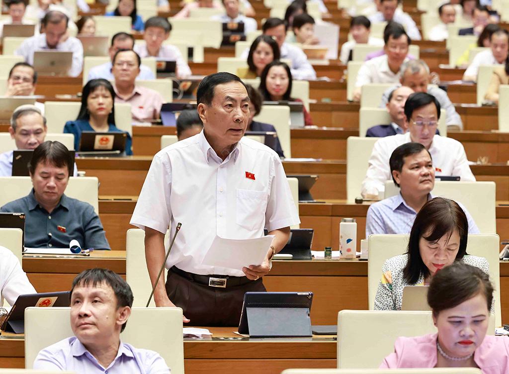 Đại biểu Quốc hội tỉnh Đồng Tháp phát biểu tại phiên thảo luận. Ảnh: TTXVN