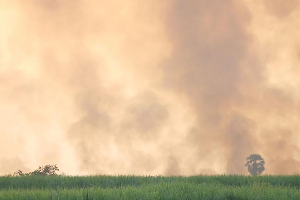 Ảnh minh hoạ. Nguồn: WMO