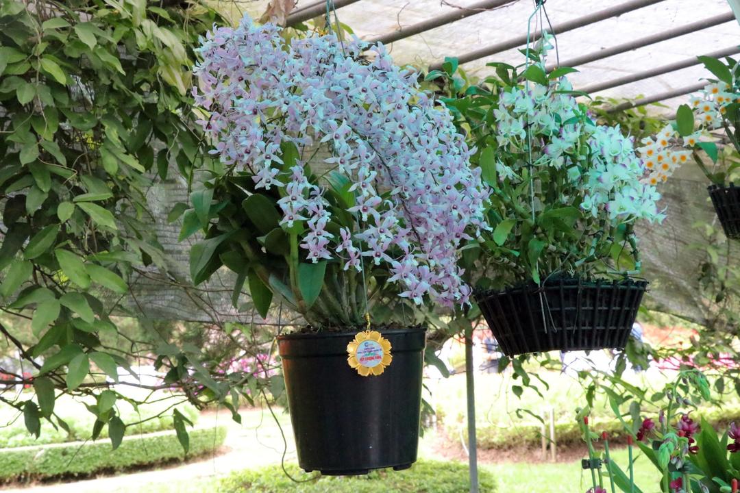 Một tác phẩm đoạt Huy chương vàng trong Triển lãm.