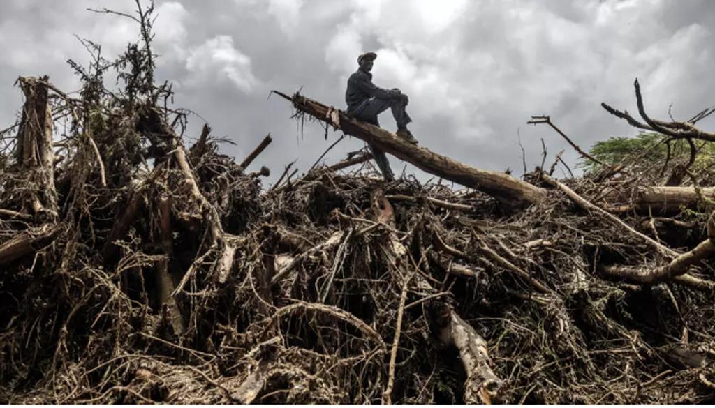 Hiện tượng nóng lên toàn cầu sẽ làm gia tăng các cơn bão, hiện tượng thời tiết cực đoan trở nên khắc nghiệt hơn. Ảnh: Reuters
