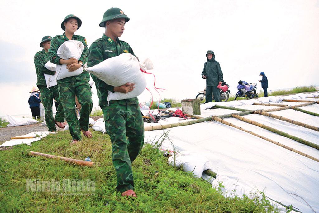 Lực lượng Bộ đội Biên phòng tỉnh tham gia gia cố mái đê Bình Minh III (Kim Sơn), phòng tránh bão số 3.