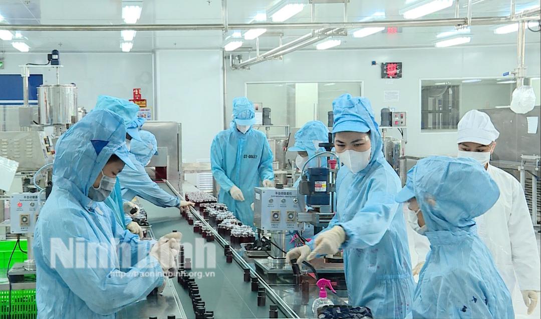 Công ty TNHH Global Tone (xã Khánh Thượng, huyện Yên Mô) đảm bảo việc làm cho người lao động.