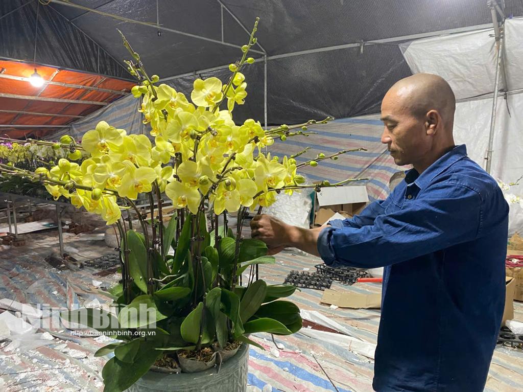 Thợ ghép hoa Lê Minh Hoàng tỉ mẩn ghép hoa theo nhu cầu của khách.