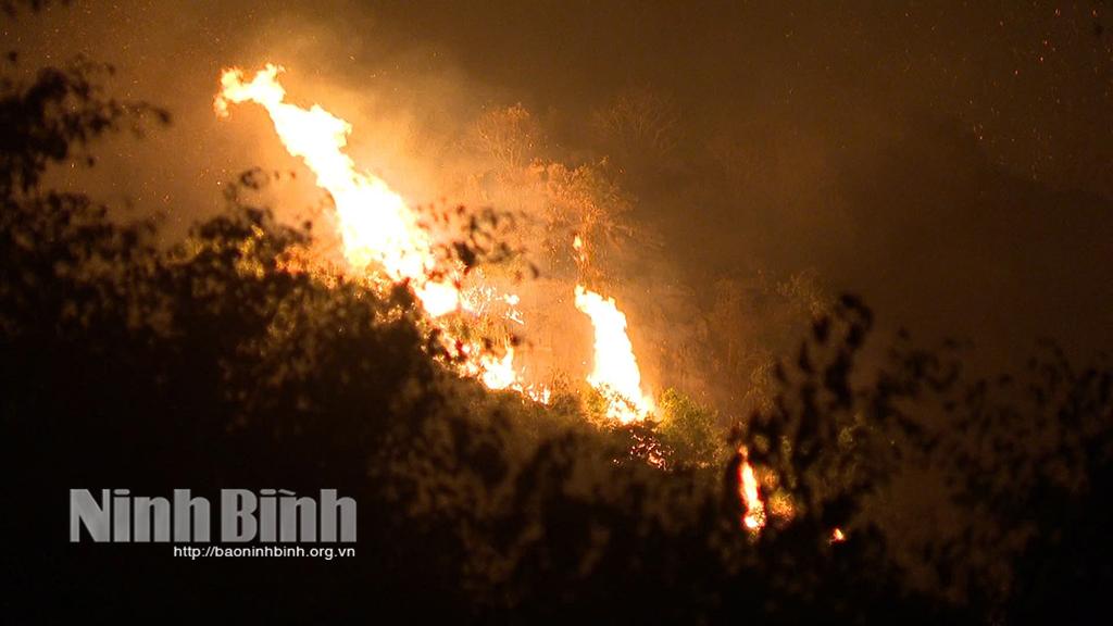 Cháy rừng khu vực núi Lồ, thôn Trường An, xã Trường Yên, thành phố Hoa Lư.