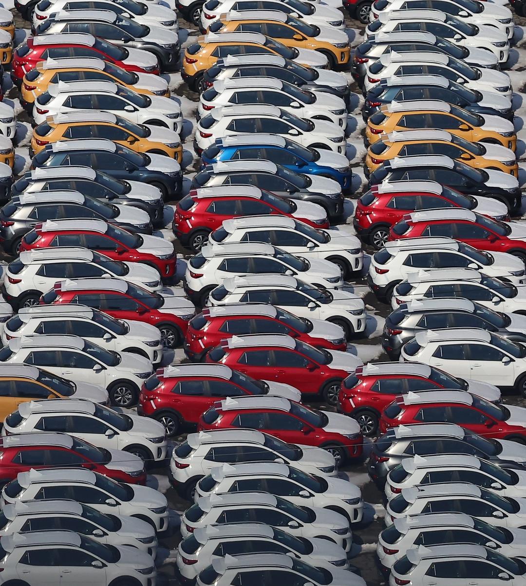 Ô tô đỗ tại cảng ở Pyeongtaek, Hàn Quốc. Ảnh: Yonhap/TTXVN