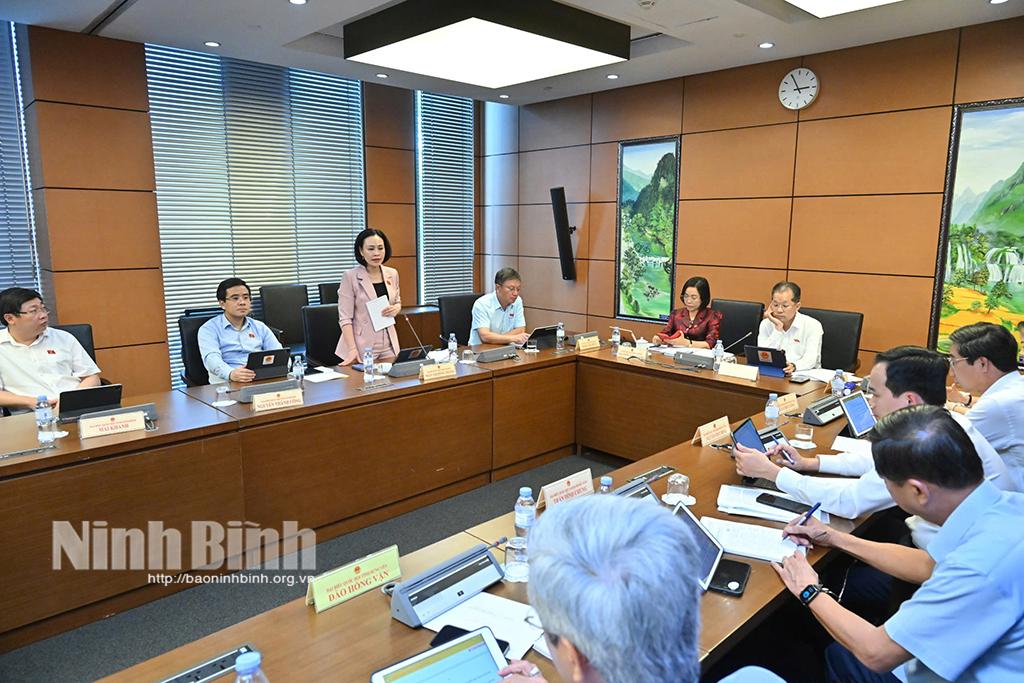 Các vị ĐBQH tham gia thảo luận tại tổ.