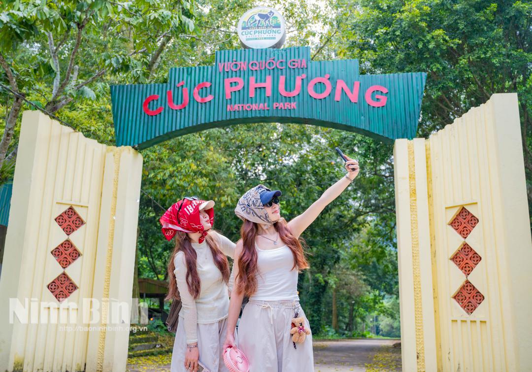 Cuối tháng 4 đến giữa tháng 5 là thời điểm lý tưởng để “chill” cùng mùa bướm ở Cúc Phương, đặc biệt sau những ngày mưa nhẹ.