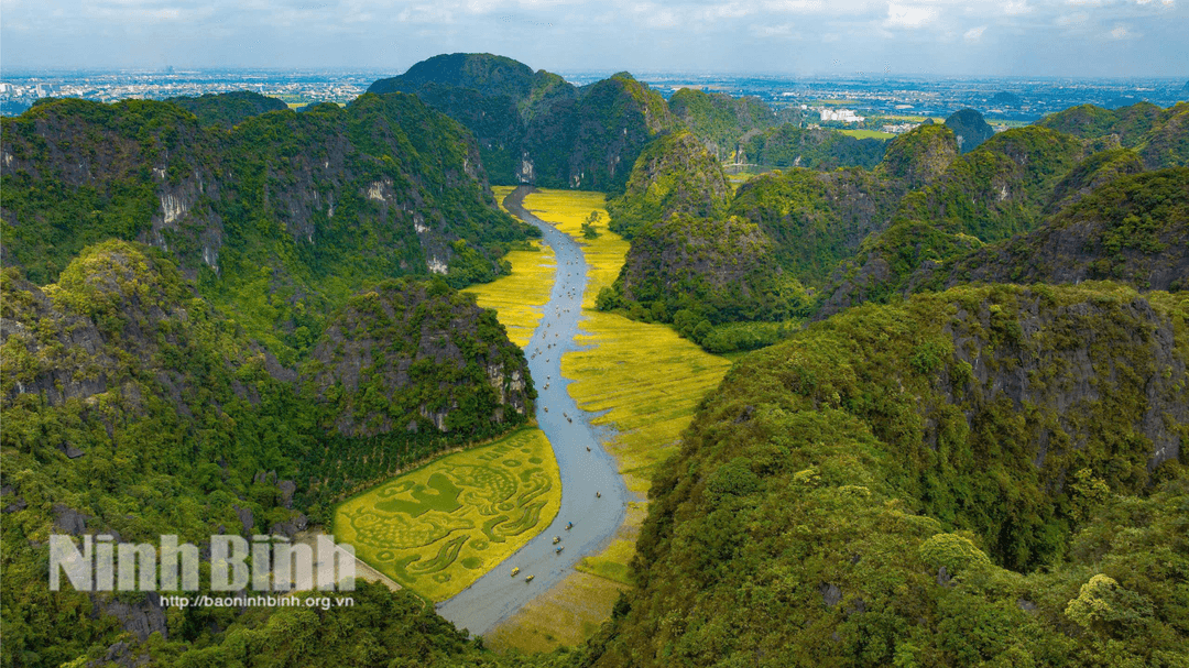 Toàn cảnh Khu du lịch Tam Cốc-Bích Động rợp “sắc vàng” của lúa chín.