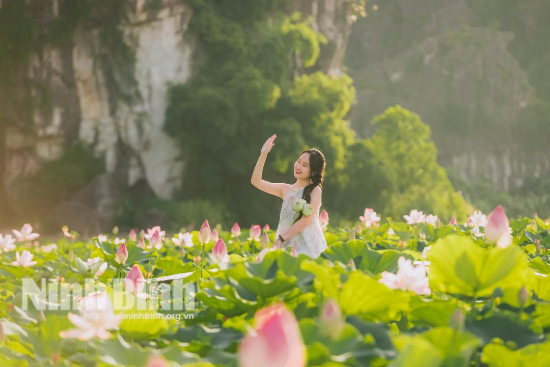 Du khách hoà mình giữa núi non trùng điệp và sắc sen yêu kiều của đầm sen tại Hang Múa. (Ảnh: Ngọc Linh)