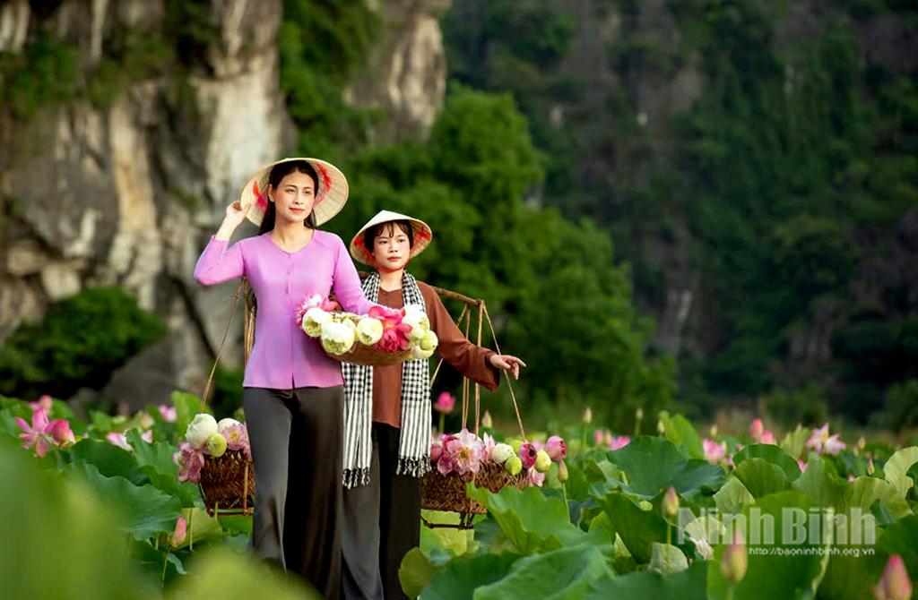 Thời điểm này, đầm Sen Hang Múa (thành phố Hoa Lư) đang vào độ đẹp nhất.