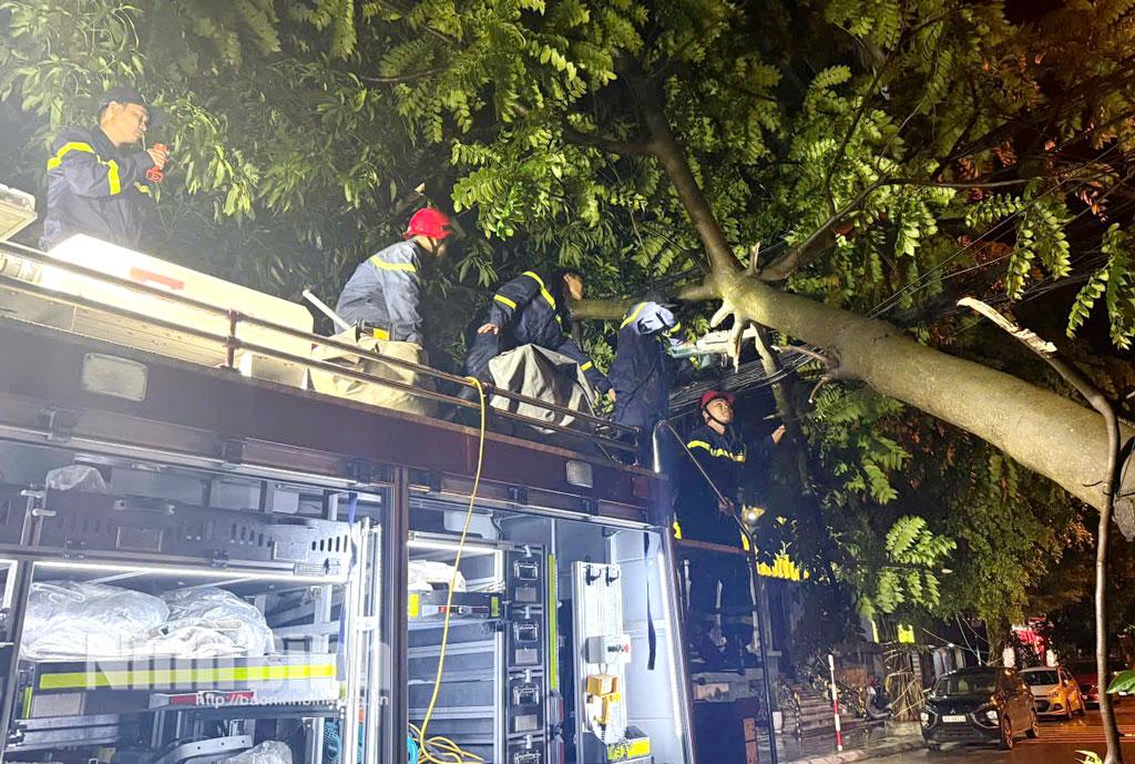 Tổ chữa cháy và CNCH khu vực Hoa Lư sử dụng xe chuyên dụng để khắc phục sự cố cây đổ do dông lốc.