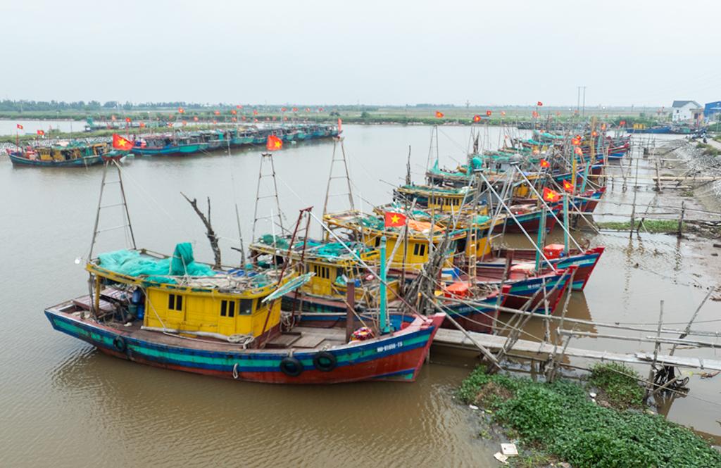 Cảng cá Hà Lạn (xã Giao Ninh). Ảnh: Trần Viết Dư