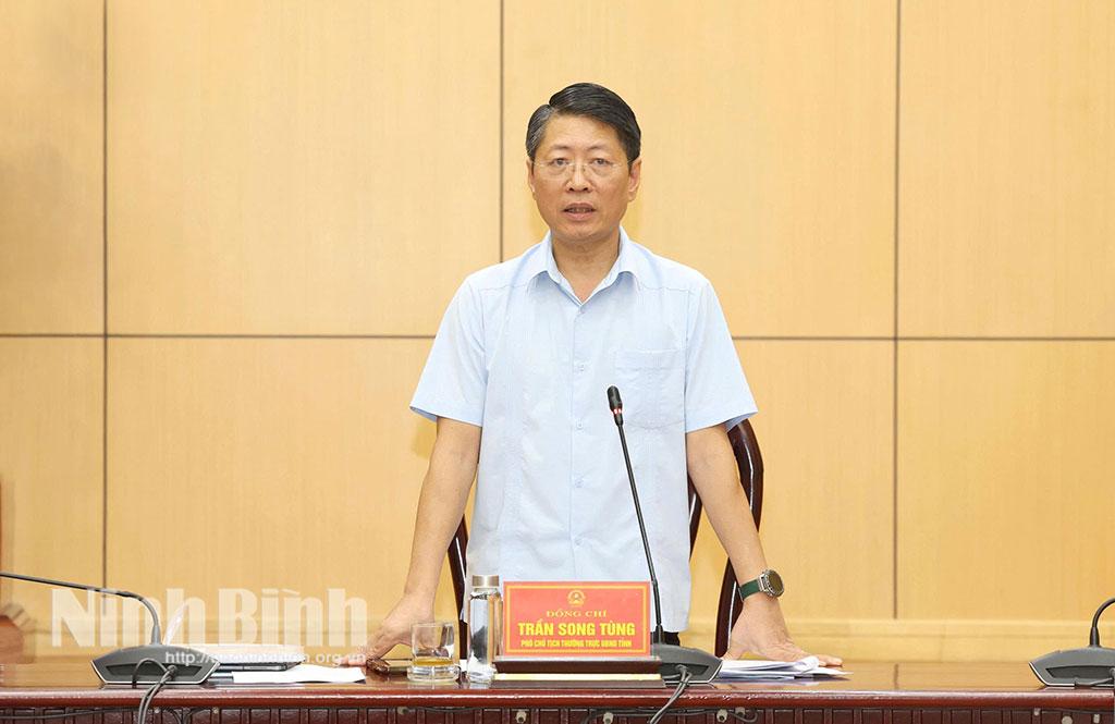 Đồng chí Trần Song Tùng, Ủy viên Ban Thường vụ Tỉnh ủy, Phó Chủ tịch Thường trực UBND tỉnh phát biểu tại hội nghị.